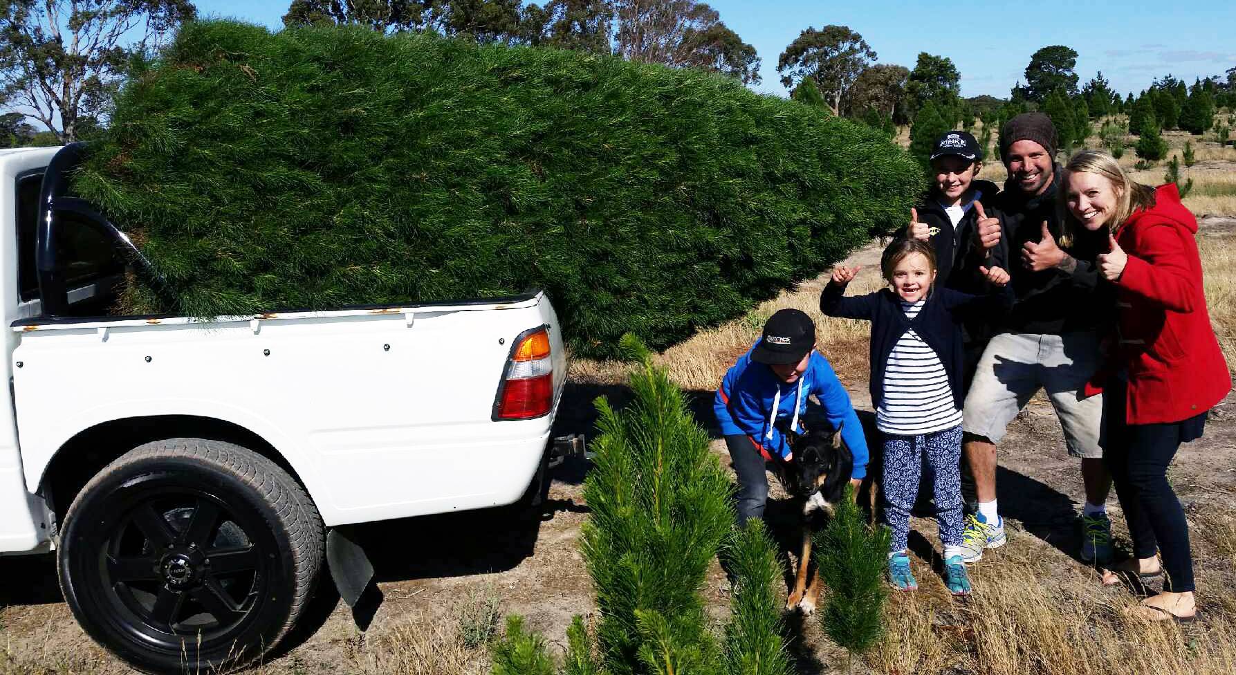 Happy Family with the Perfect Tree