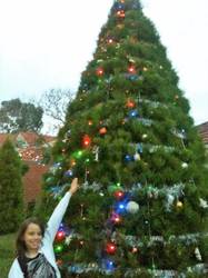 15ft Christmas Tree
